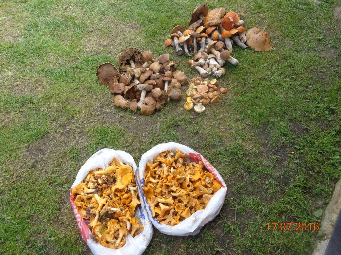 DSC04870.JPG