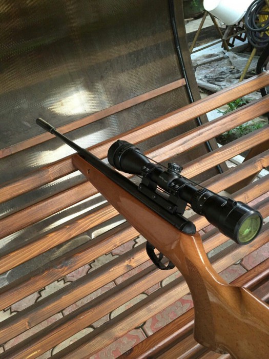 image.jpeg