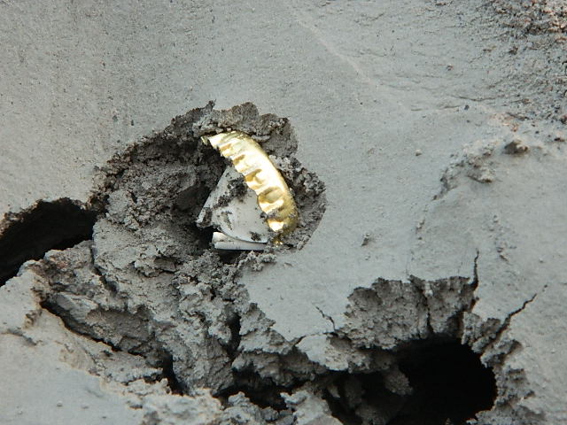 DSCN0530.JPG