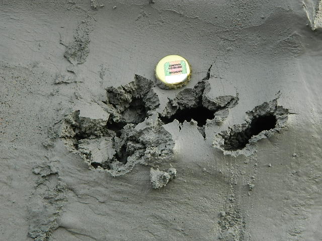 DSCN0520.JPG
