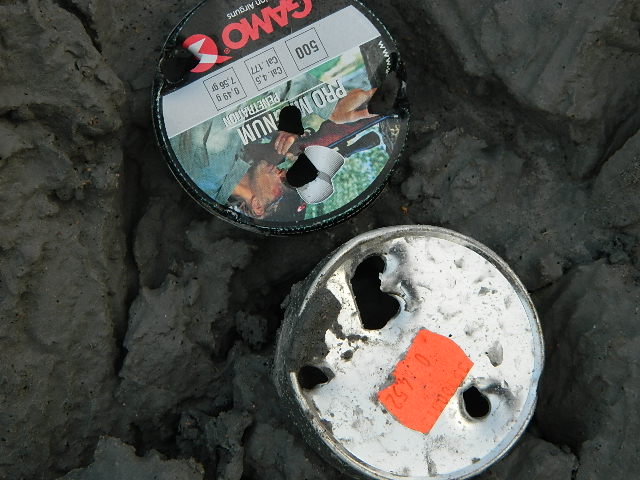 DSCN0524.JPG