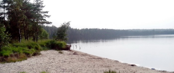 Озеро левки стародорожский район