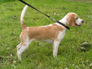 P5280468.JPG (1.5 МБ) Просмотров: 3072 P5280468.JPG