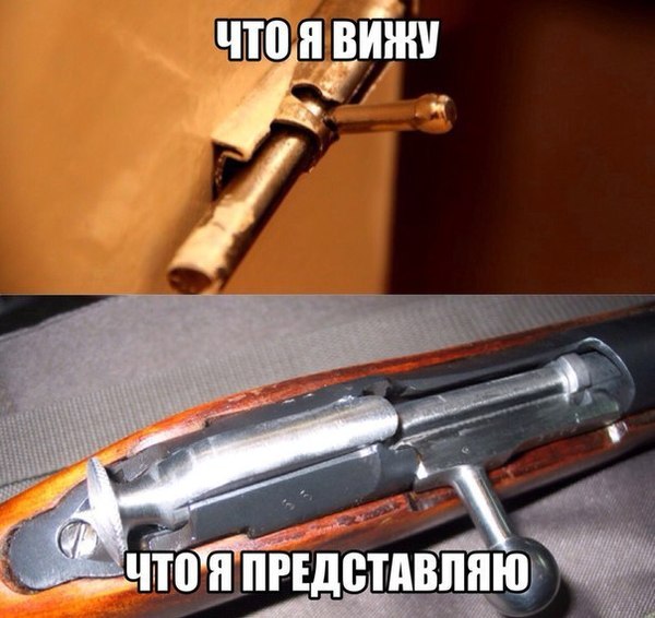 1449487646177444447.jpg