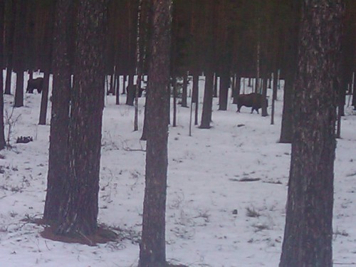 2012-03-04 12.32.51.jpg