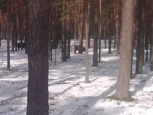 2012-03-04 12.35.15.jpg