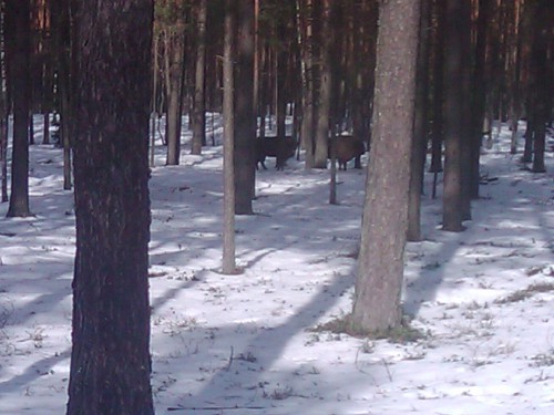 2012-03-04 12.35.33.jpg