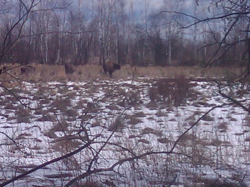 2012-03-04 12.47.23.jpg