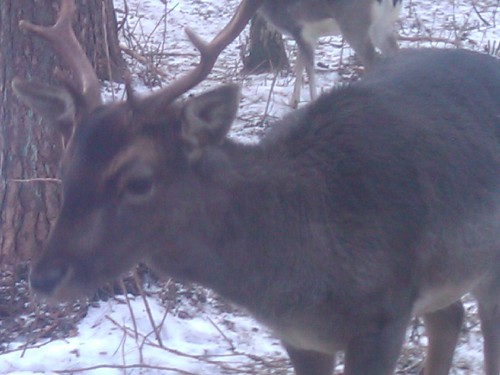2012-03-04 13.01.59.jpg