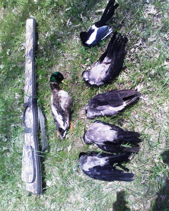 Фото 0969.jpg (517.8 КБ) Просмотров: 7856 Фото 0969.jpg