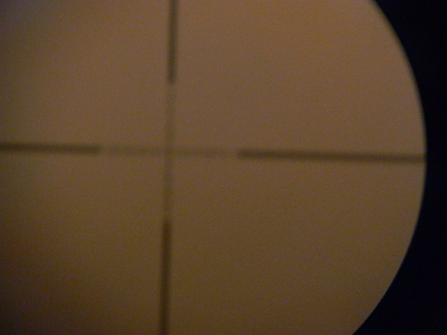 DSCN0607.JPG