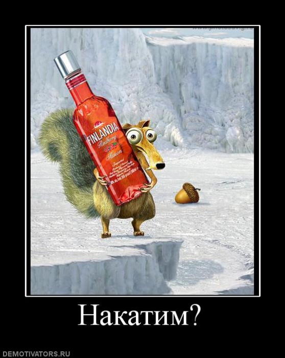 116575_nakatim.jpg