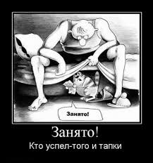 images (11).jpg