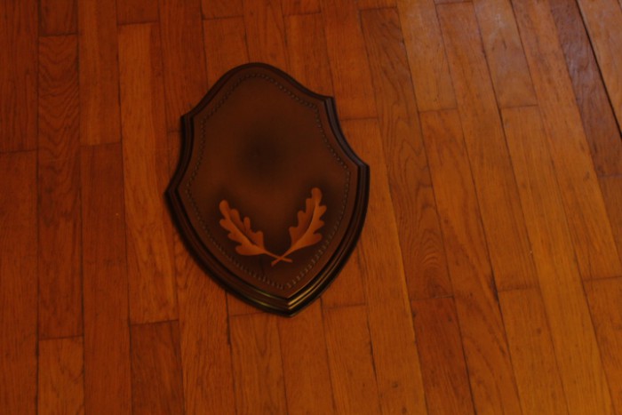 _MG_8739.JPG (181.25 КБ) Просмотров: 2819 _MG_8739.JPG