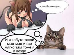 images (13).jpg