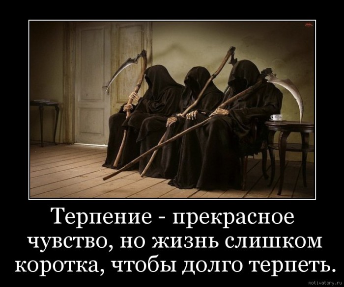 3b6b7adb30.jpg