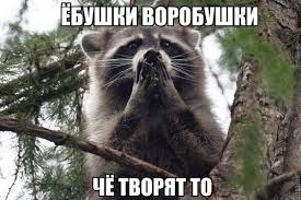 images (10).jpg
