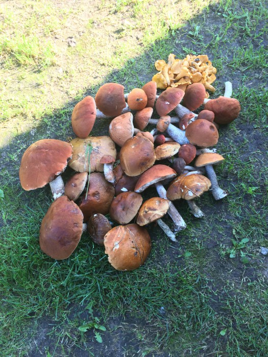 IMG_0719.jpg (1.74 МБ) Просмотров: 7216 IMG_0719.jpg