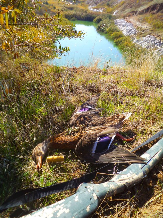 DSC04724.JPG (1.04 МБ) Просмотров: 8493 DSC04724.JPG