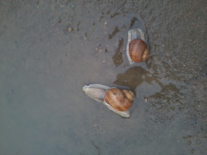 Фото1258.jpg (510.2 КБ) Просмотров: 18301 Фото1258.jpg