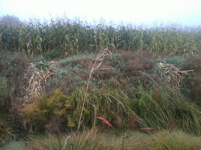 Фото1261.jpg (964.76 КБ) Просмотров: 18378 Фото1261.jpg