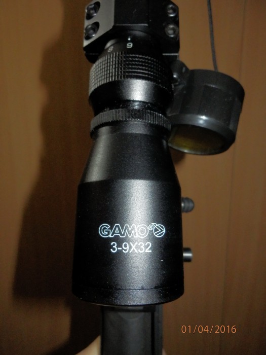 P4013980-1.jpg