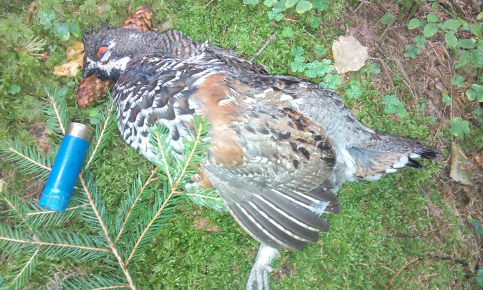 IMG_20160916_102647.jpg (1.13 МБ) Просмотров: 15667 IMG_20160916_102647.jpg