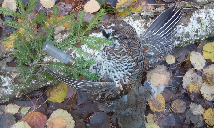 IMG_20161015_090119.jpg (1.05 МБ) Просмотров: 15652 IMG_20161015_090119.jpg