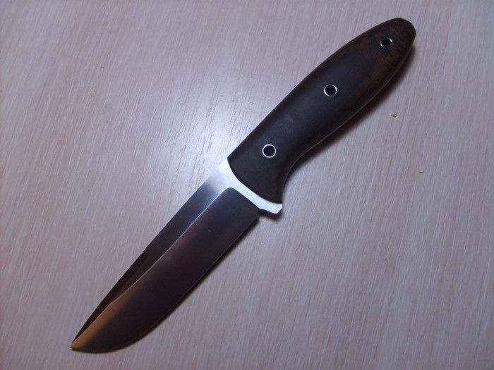 S5004293.JPG