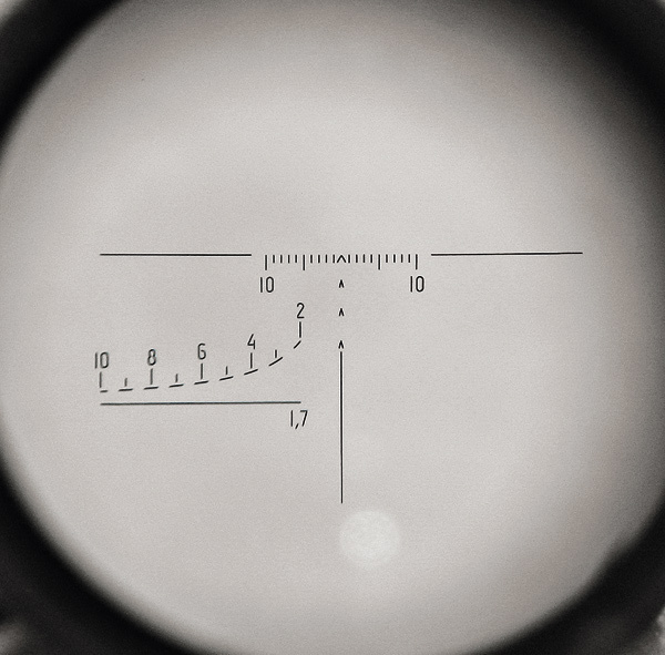 495_24416.jpg