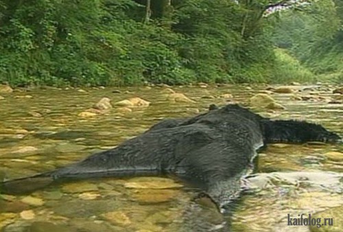 Не успел..jpg