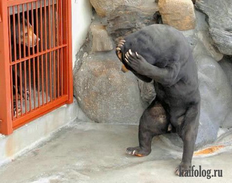 Опоздал !!!.jpg