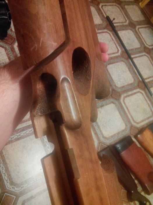 IMG-1453663186417-V.jpg