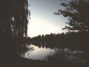 4.6. сельсовет 291.jpg