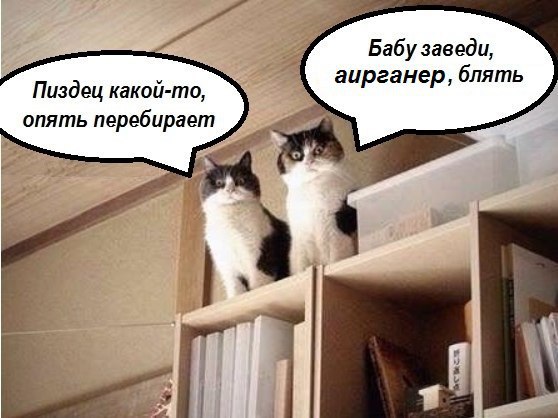 Опять перебирает.jpg