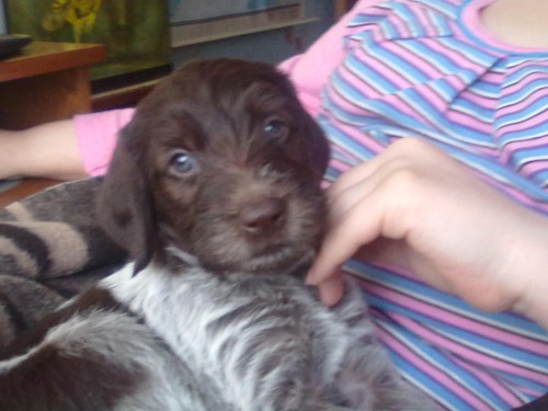 31032012502.jpg (168.27 КБ) Просмотров: 2321 31032012502.jpg