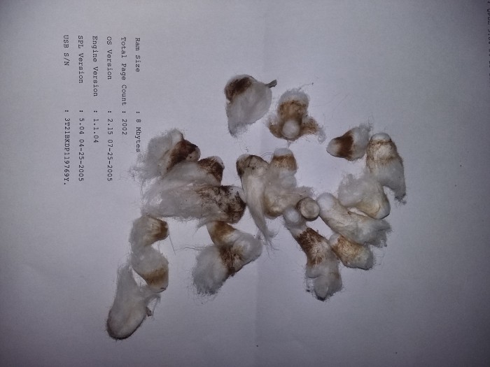 20161123_225443.jpg