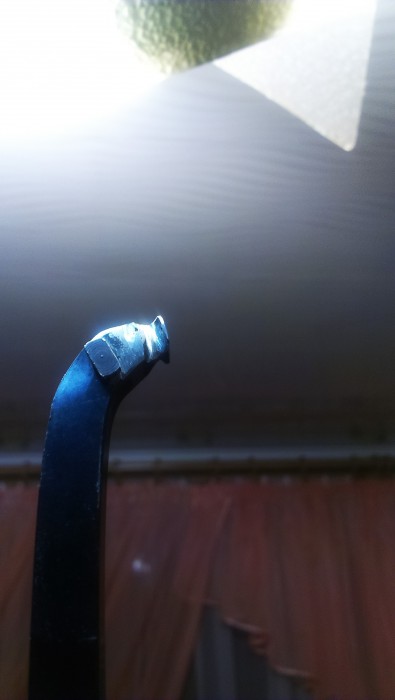 IMAG1021.jpg