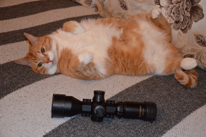 DSC_2567.jpg