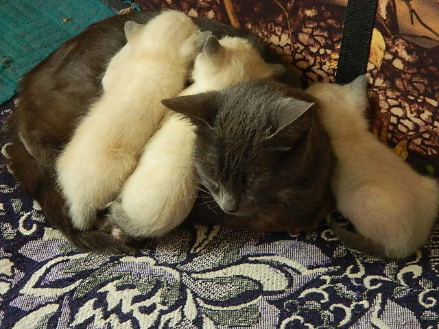DSCN0625.JPG