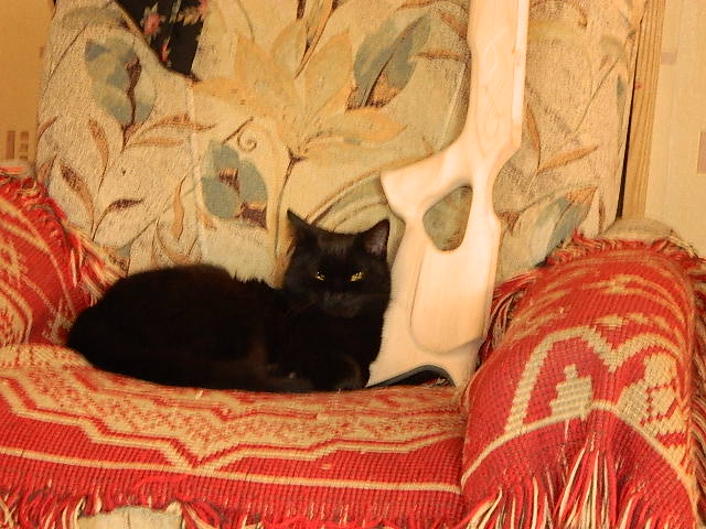 DSCN9697.JPG