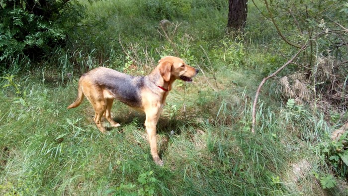 DSC_0051.jpg (401.21 КБ) Просмотров: 3724 DSC_0051.jpg