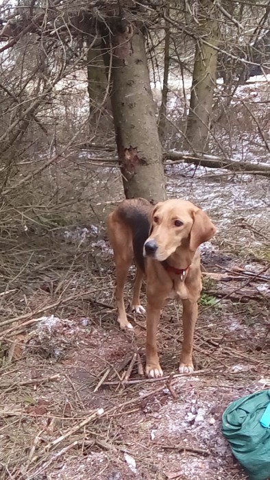 DSC_0437.jpg (368.6 КБ) Просмотров: 3724 DSC_0437.jpg