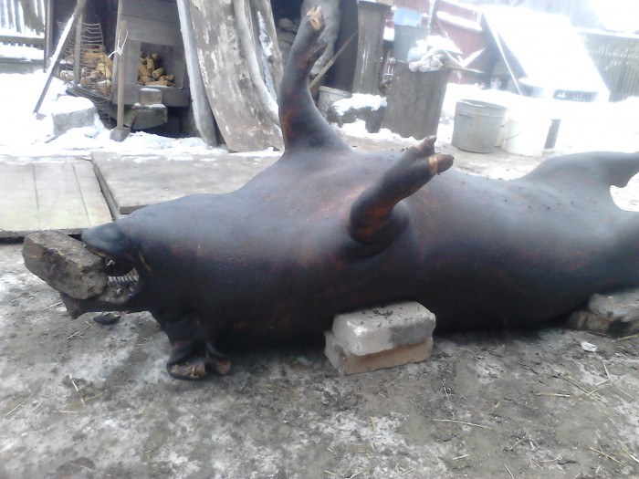 1.jpg (601.43 КБ) Просмотров: 9211 1.jpg