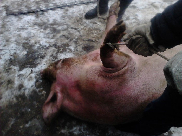 02.jpg (499.97 КБ) Просмотров: 9230 02.jpg