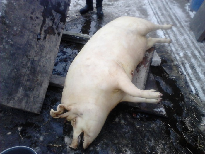 2.jpg (543.98 КБ) Просмотров: 9203 2.jpg