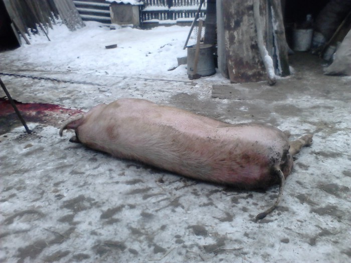 03.jpg (617.36 КБ) Просмотров: 9230 03.jpg