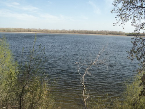 DSC01049.JPG (3.58 МБ) Просмотров: 3613 DSC01049.JPG