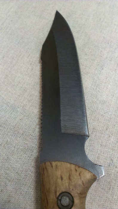 IMAG1624.jpg