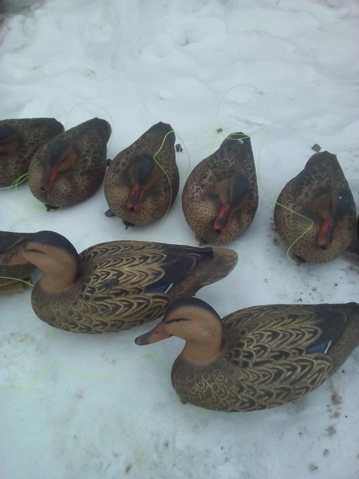 IMG_20170213_114416.jpg (551.94 КБ) Просмотров: 10343 IMG_20170213_114416.jpg